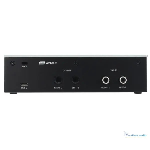 ESI Audio Amber i1 – vue générale