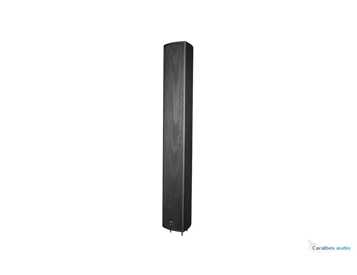 CAF AUDIO – L6 / L6SA