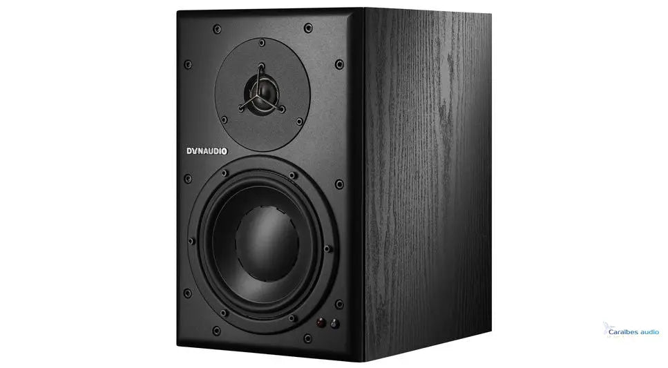 Dynaudio BM6A