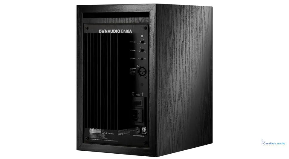 Dynaudio BM6A