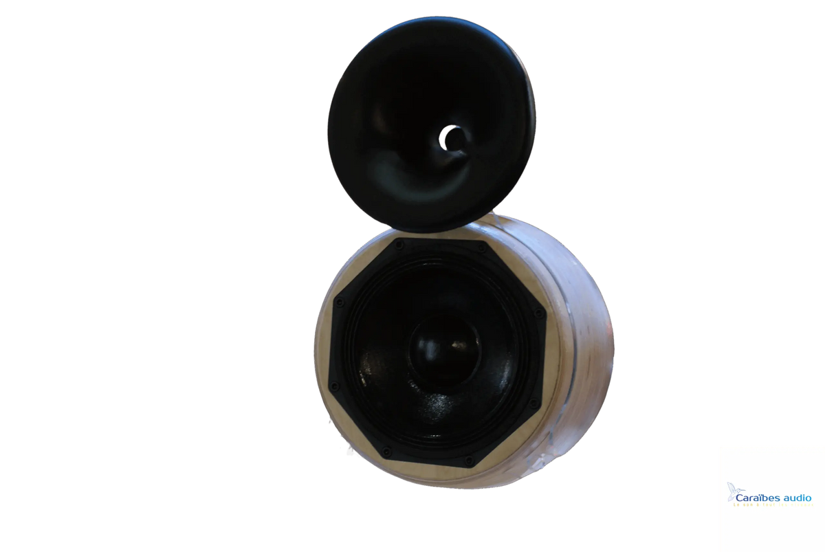 Hortus Audio Mi-18C