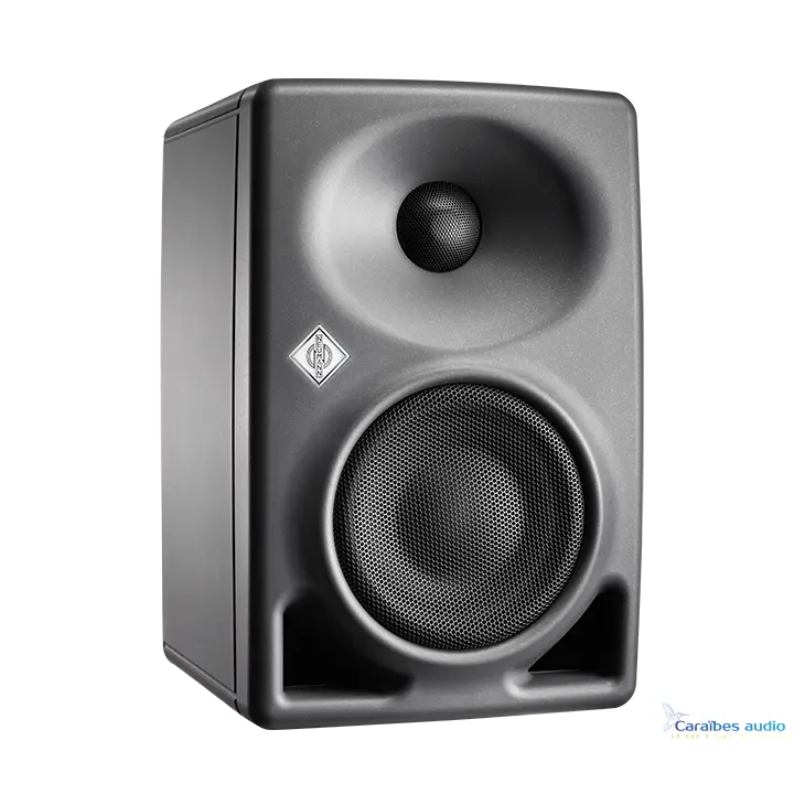 Neumann KH 80 DSP