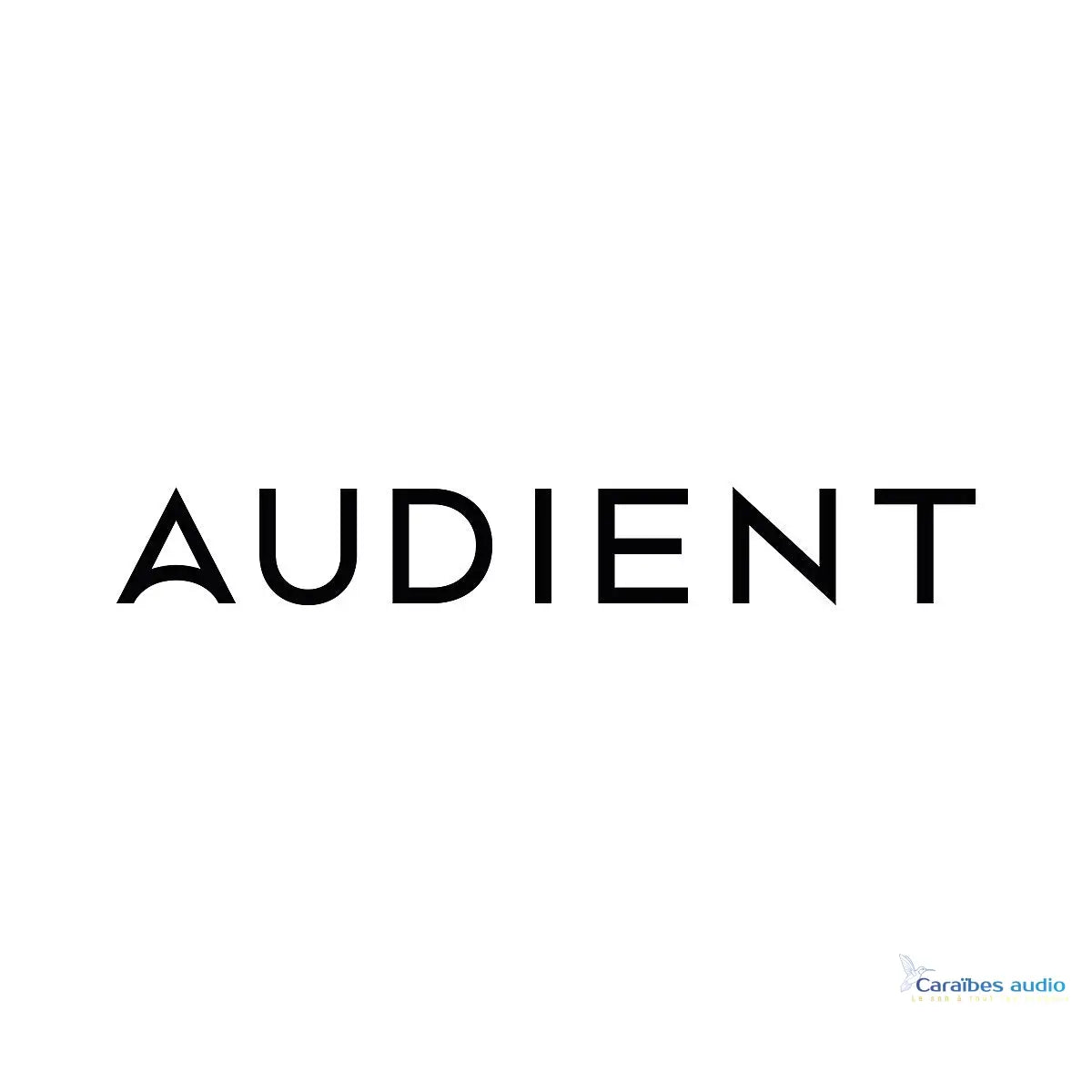 Cartes-son-AUDIENT Caraïbes Audio Caraïbes Audio
