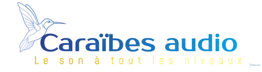 Flight-case-Controleur-USB Caraïbes Audio Caraïbes Audio
