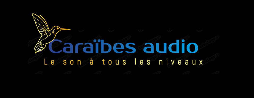 Câbles-DMX Caraïbes Audio Caraïbes Audio