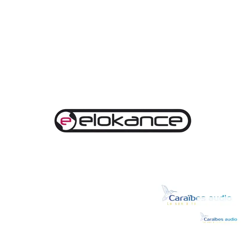 Colonnes de sonorisation Elokance professionnelles design élégant