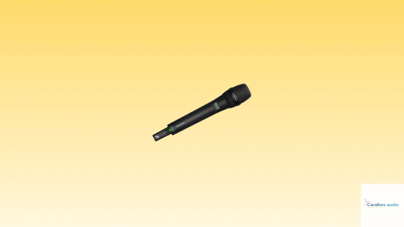 Micros Caraïbes Audio Caraïbes Audio