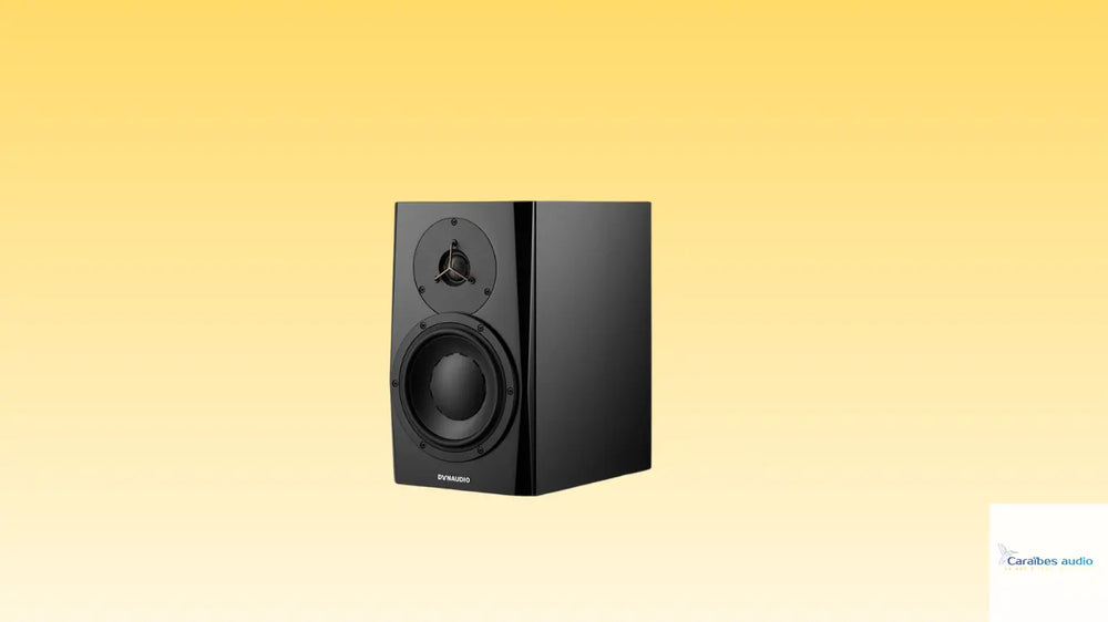 Monitoring Caraïbes Audio