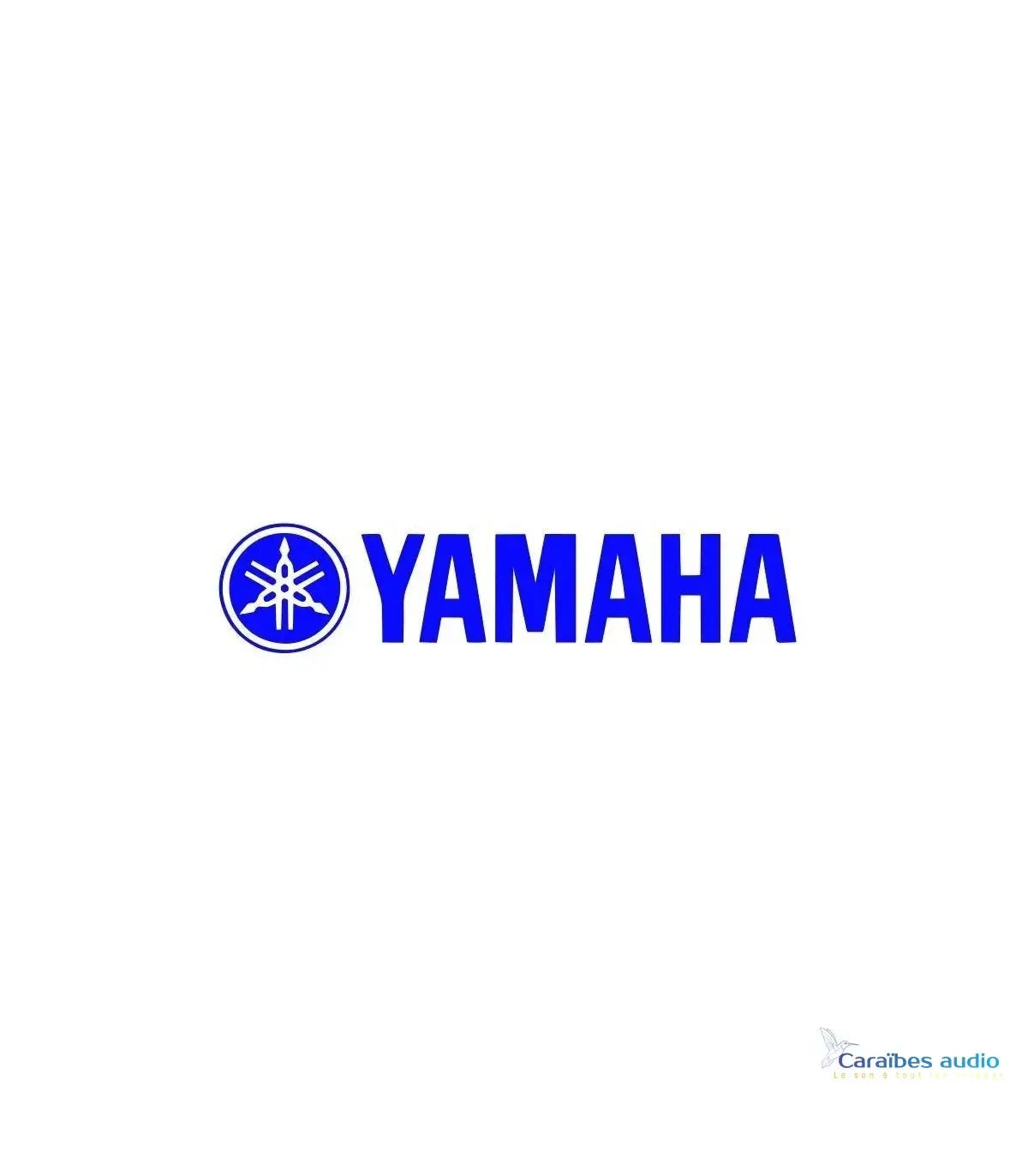 Caissons de basses Yamaha professionnels haute performance