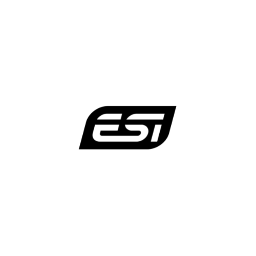 ESI Audio