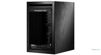 Dynaudio BM6A