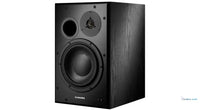 Dynaudio BM15AR (Droite)