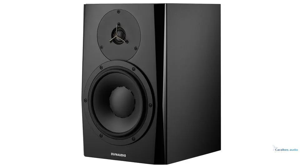 Dynaudio LYD8