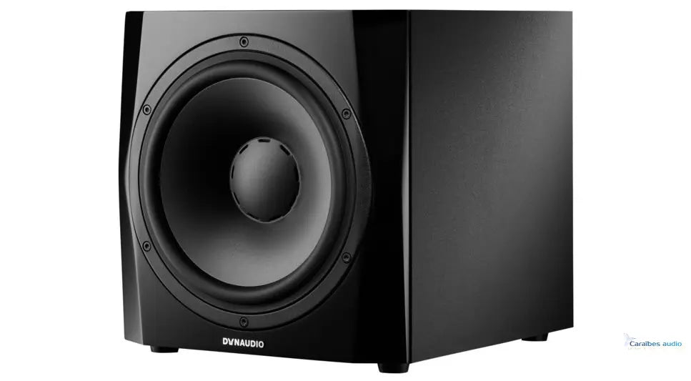 Dynaudio 9S