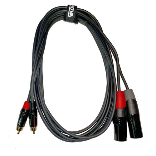 Câble Adaptateur ENOVA XLR Mâle / 2x RCA Mâle - 1 m