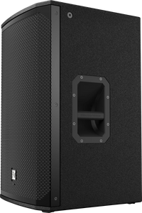 Electro-Voice  EKX 15P