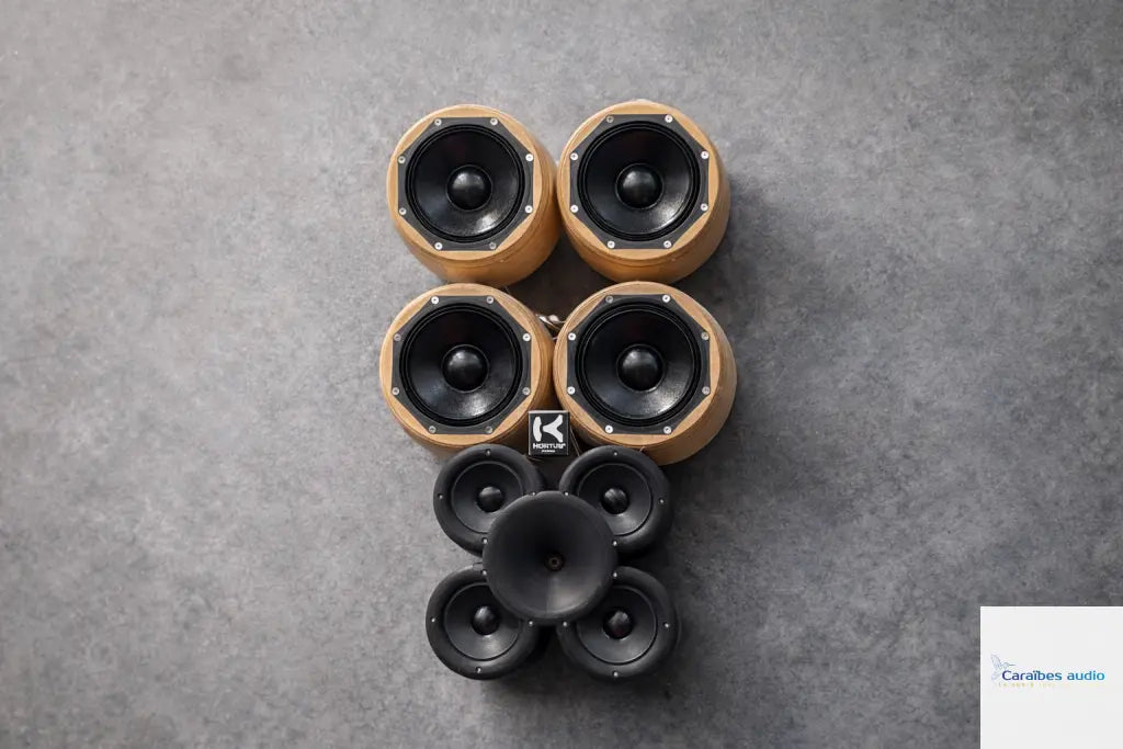 Hortus Audio Mi-48