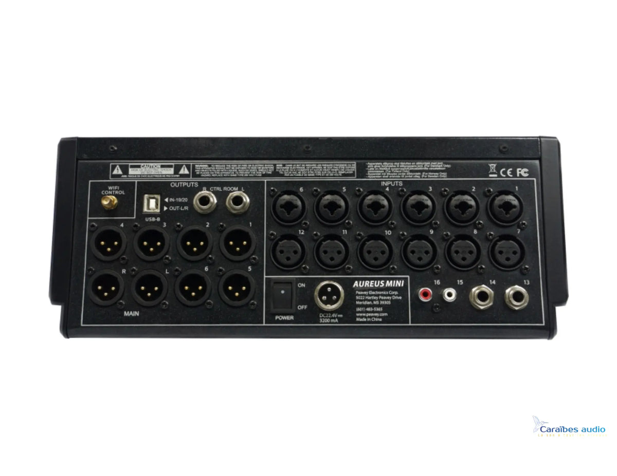 PEAVEY Aureus Mini