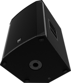 Electro-Voice  EKX 15P