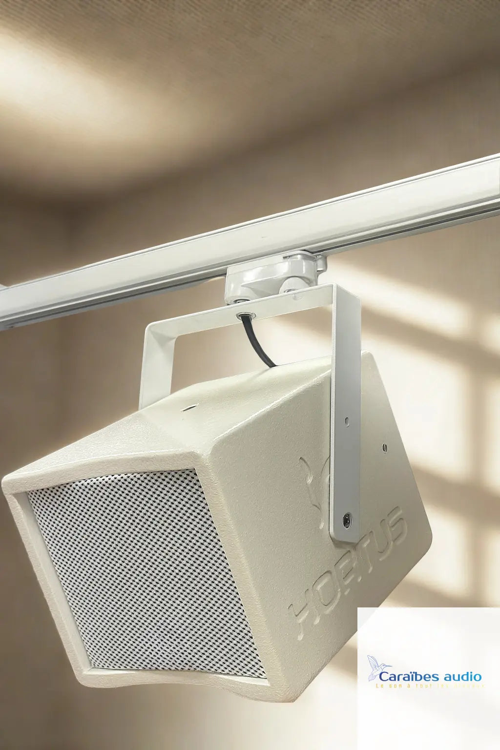 Hortus Audio Q5