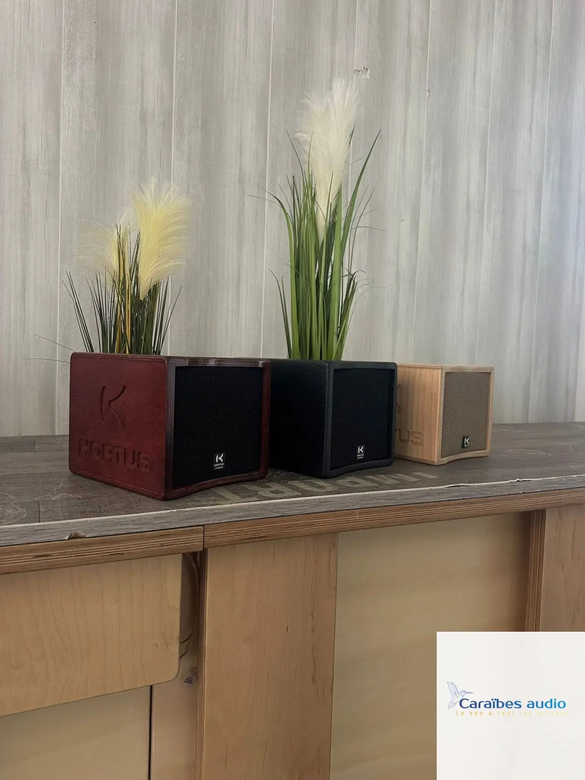 Hortus Audio Q5