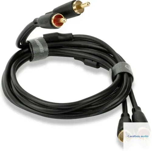 Câble RCA QED