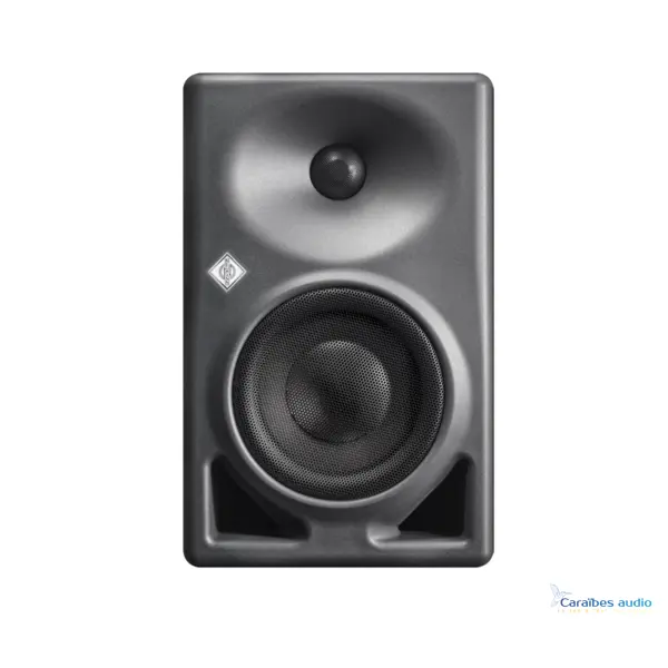 Neumann KH 120 II Gris